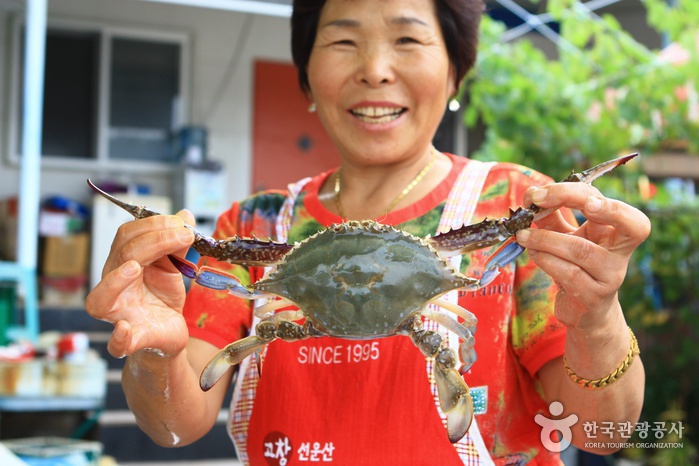 꽃게 풍년을 맞은 태안, 꽃게를 든 아주머니 얼굴에도 꽃게웃음이 피어난다