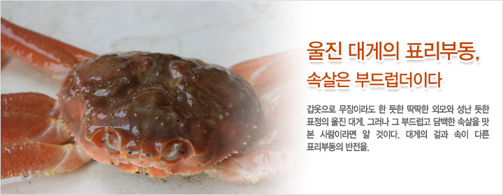 울진대게 이미지