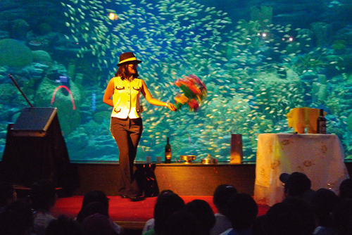Busan Aquarium (부산아쿠아리움)