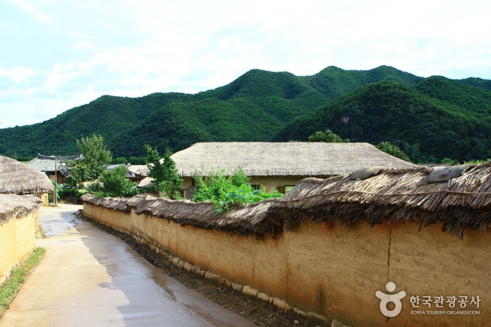 Andong Hahoe Village [UNESCO World Heritage] (안동 하회마을)