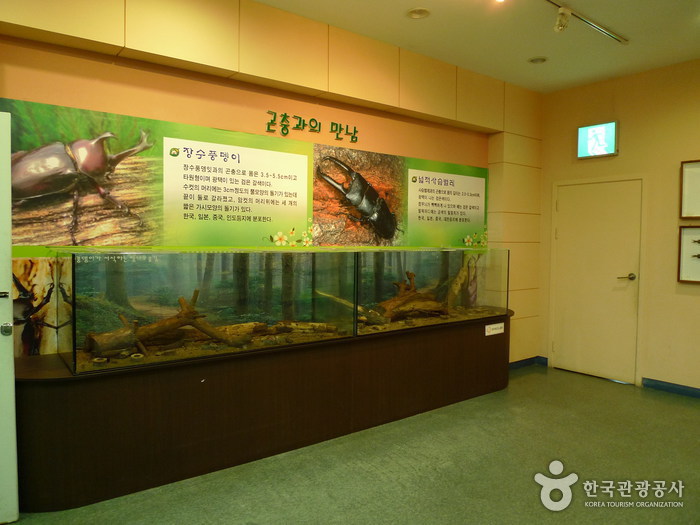 大清湖自然生態館(대청호자연생태관)