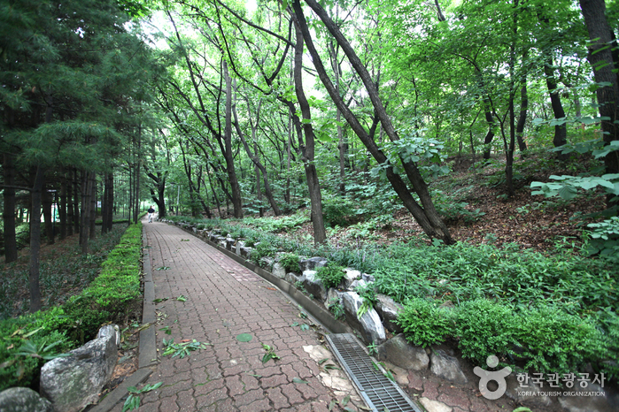 Cheongdam Park (청담공원)2