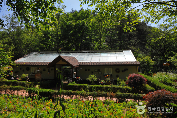 Herbnara Farm (허브나라농원)