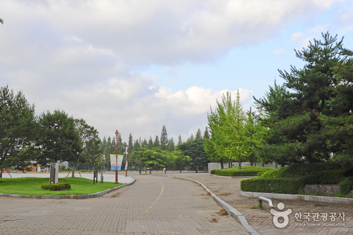 Озерный парк в Ильсане (일산호수공원)