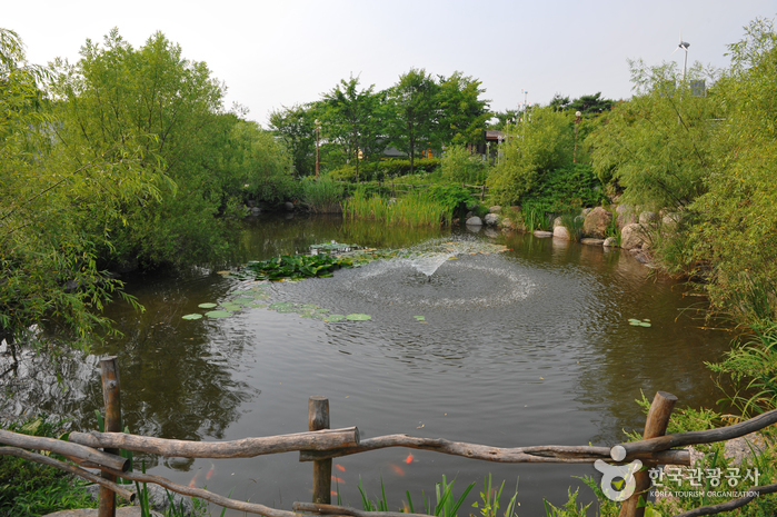 Le parc des marais aux roseaux des lacs Sihwaho (시화호 갈대습지공원)