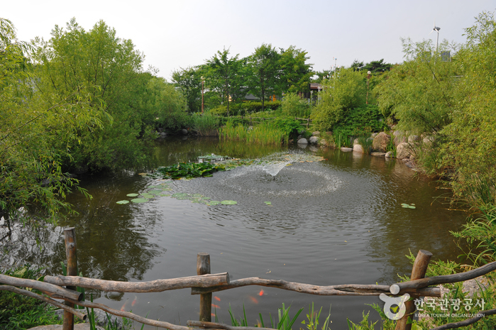 thumbnail-Ansan Reed Marsh Park (안산갈대습지공원)-1