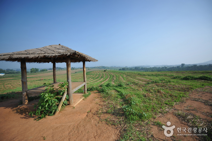Borinara Hagwon Farm (보리나라 학원농장)