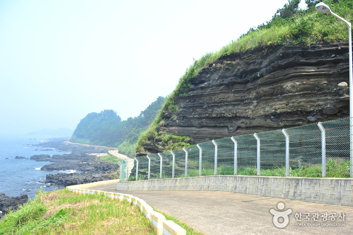 [제주올레 12코스] 무릉-용수 올레6