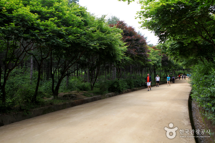 문경새재도립공원 사진32