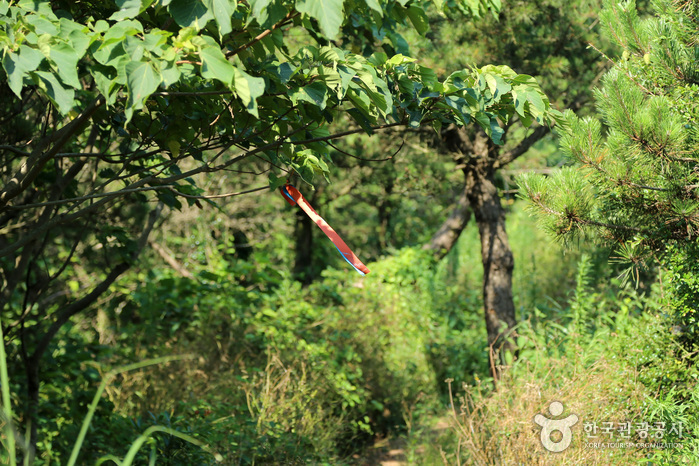 [제주올레 21코스] 하도-종달올레1