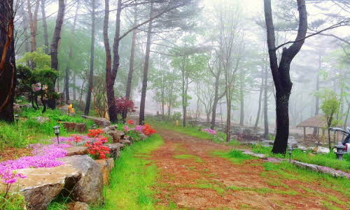 거창 자연의소리0