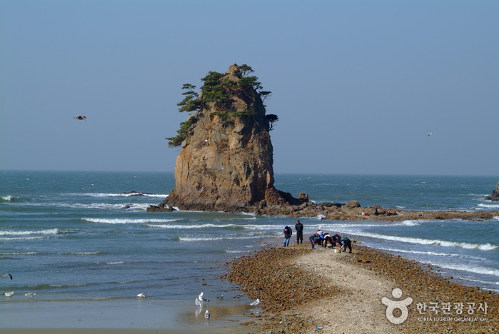 꽃지해수욕장 사진10