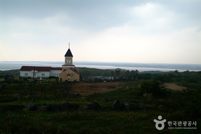 Jeju Trolley Limousine Tour