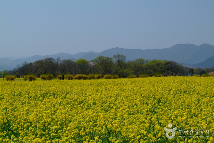 Gyerim Forest (계림)