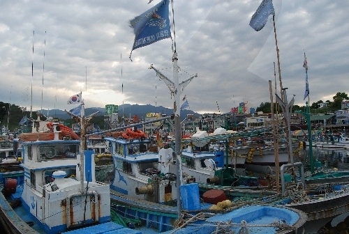 Daepohang Port (대포항)