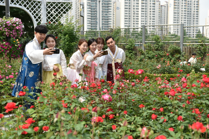 Seoul Rose Festival (서울장미축제)