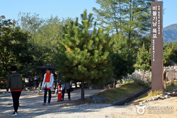 Bidulginangpokpo Falls-Hantangang River Geopark (비둘기낭폭포-한탄강 국가지질공원)0