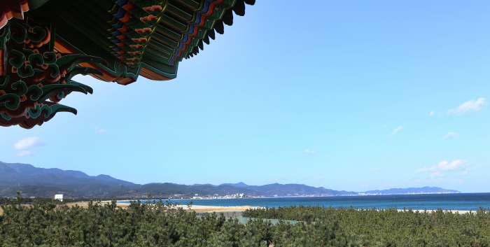 고래불 해안 (경북 동해안 국가지질공원)