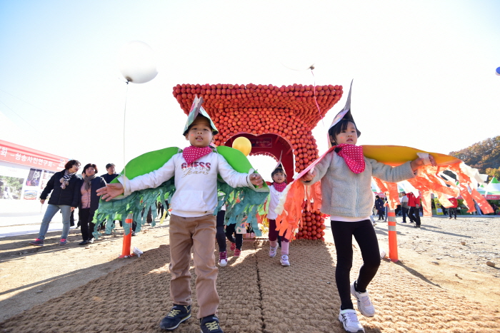 Фестиваль яблок в Чхонсоне (청송사과축제)
