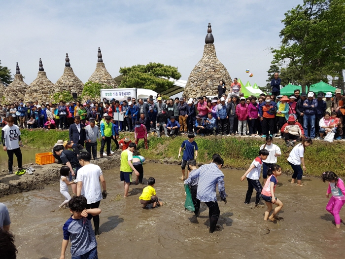 영광찰보리 어울마당0