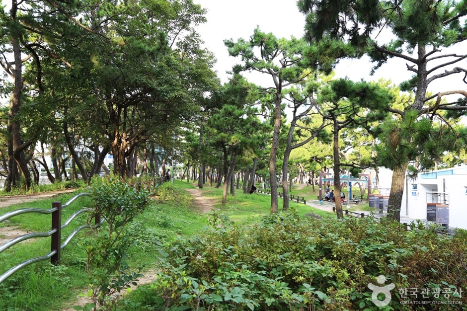 송림공원