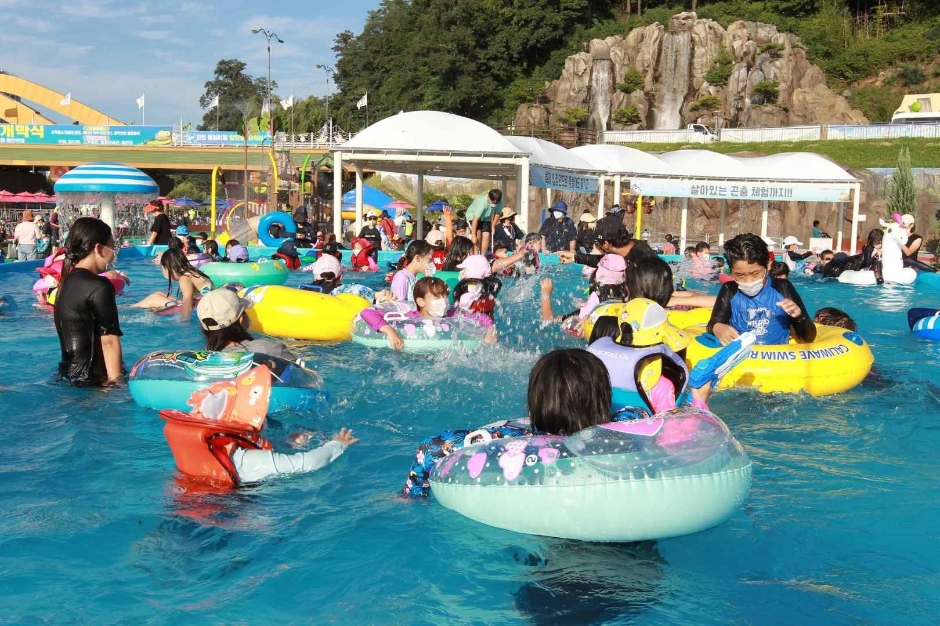 예천곤충축제