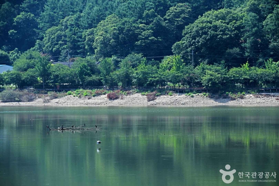 삼형제 저수지