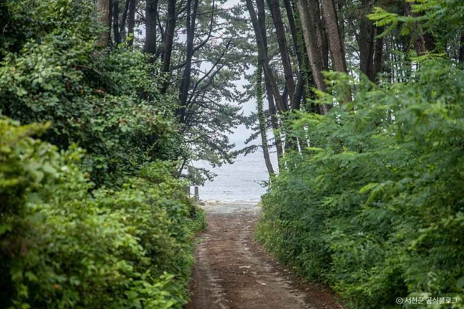 띠섬목해변