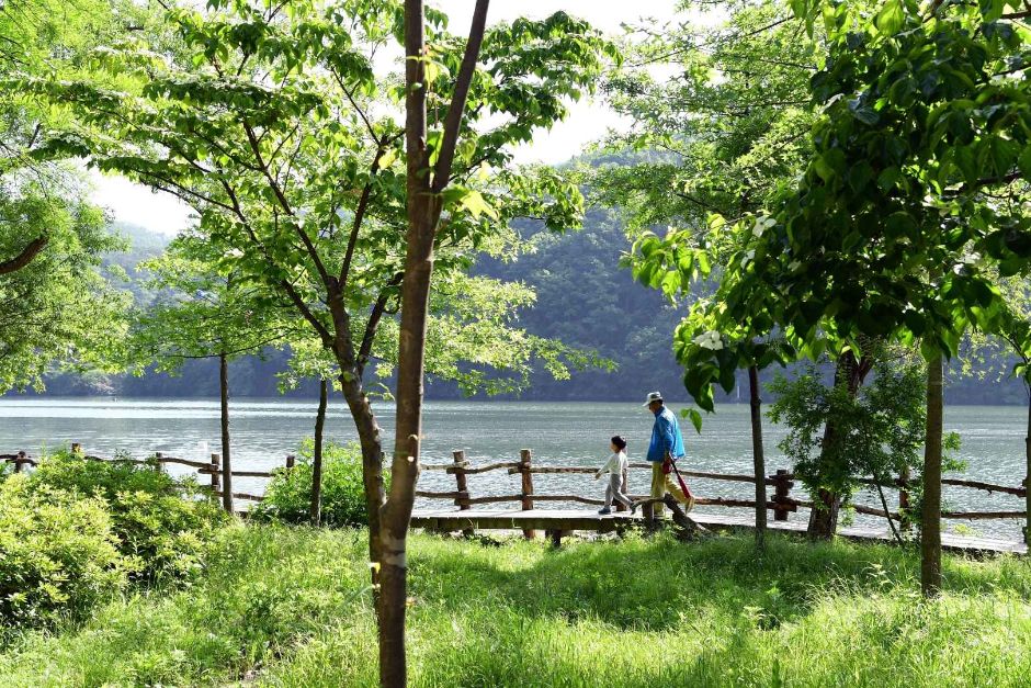 남이섬 (15)