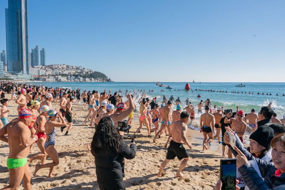 Festival del Oso Polar de Busan (부산 북극곰 축제)