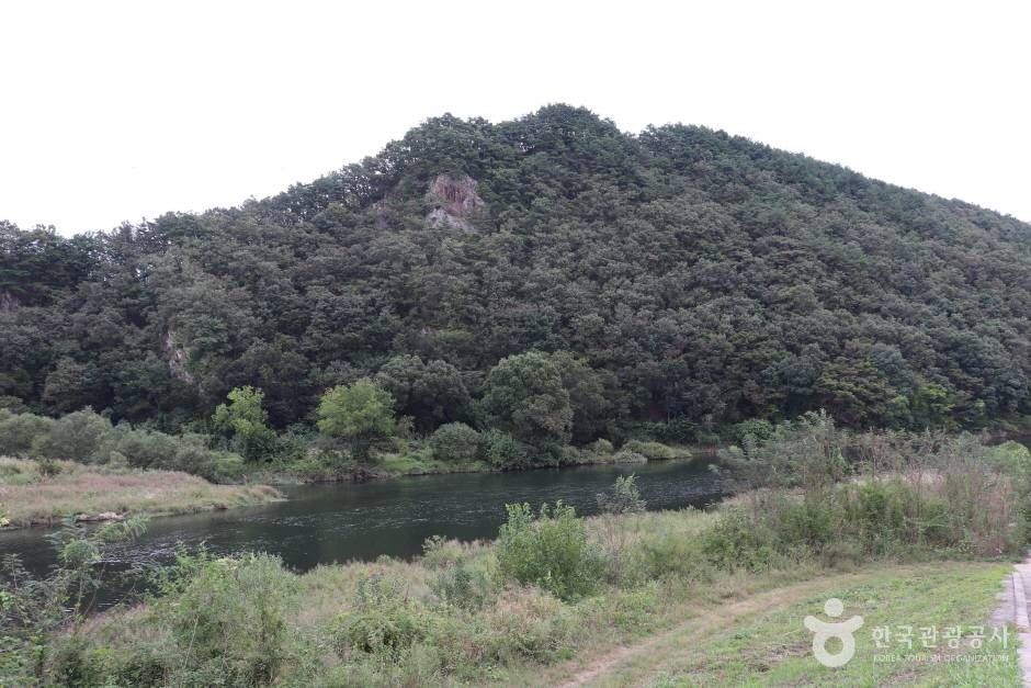 부남면 금강하천 (6)_e