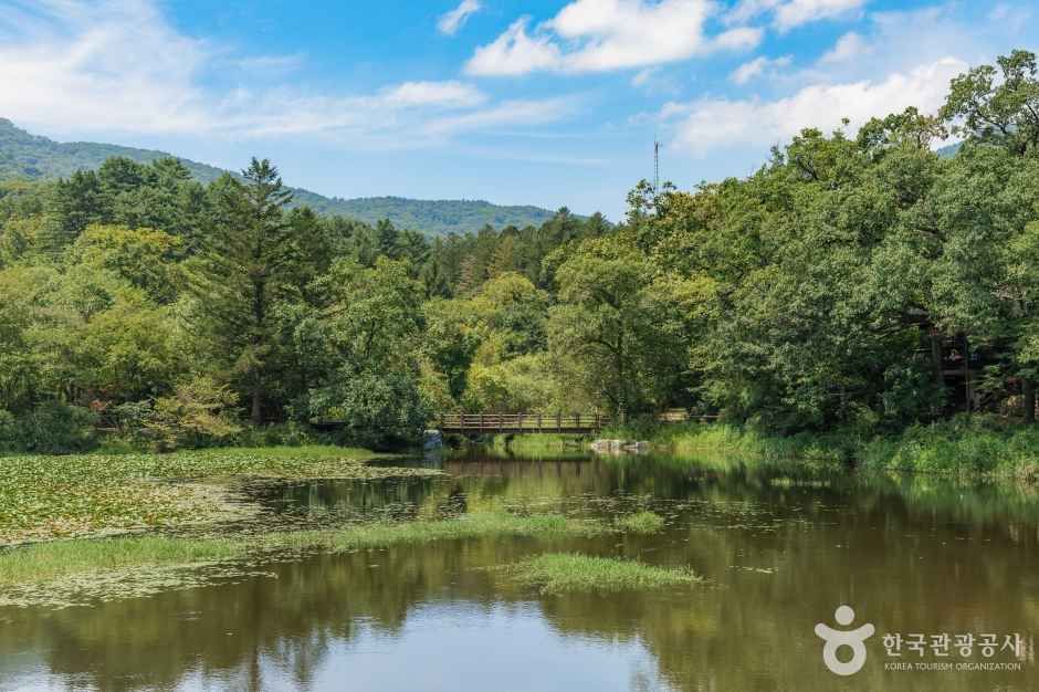 thumbnail-국립수목원(광릉숲)-19