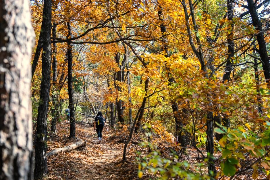 법화산