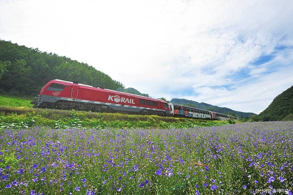 정선아리랑열차(A-train)