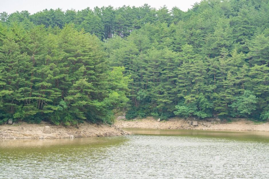 강릉_죽헌저수지 (4)