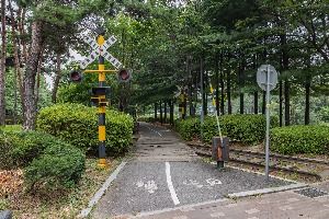 인천_굴포천 생태하천 (10)