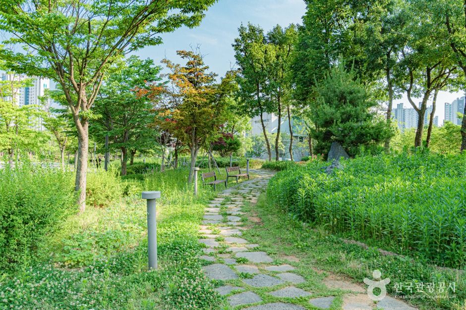 한강중앙공원