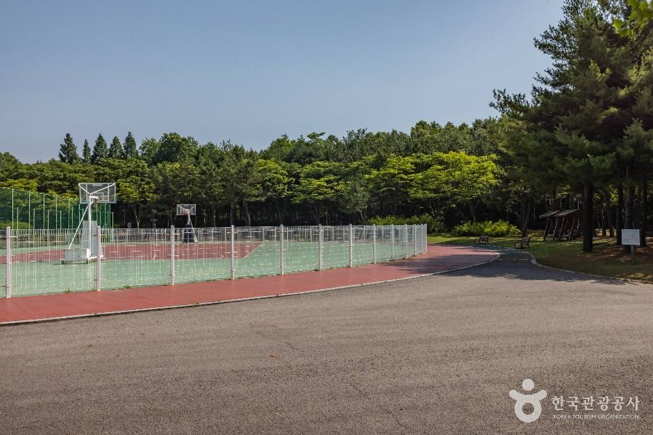 thumbnail-드림파크 주민체육공원-14