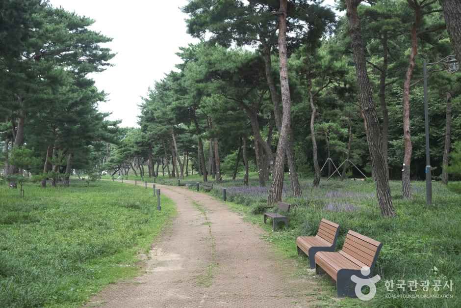 수원 노송공원