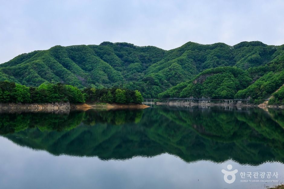 옥정호 출렁다리 및 붕어섬생태공원