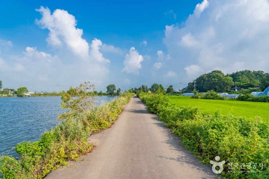 thumbnail-분지섬저수지-10