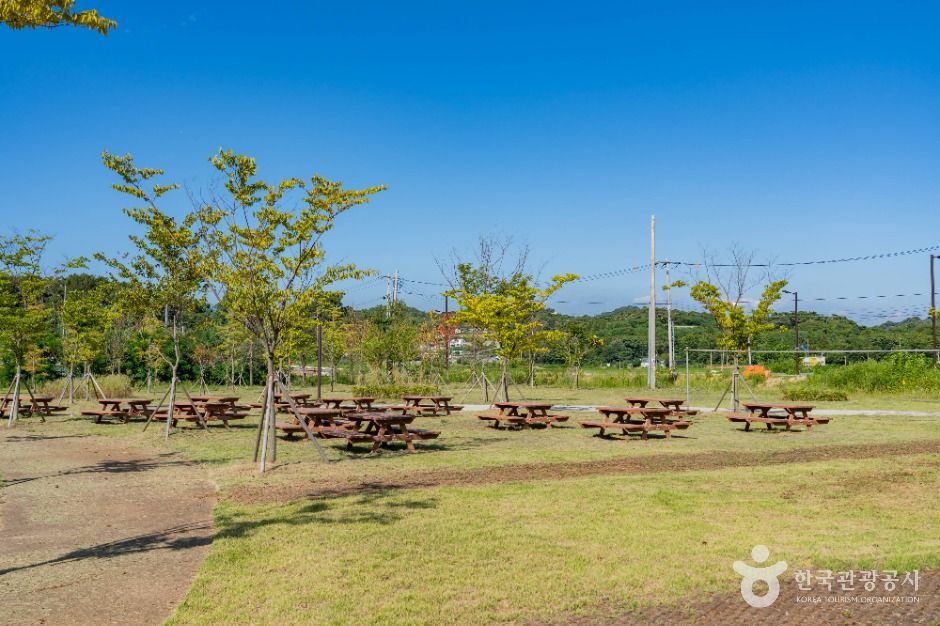 thumbnail-궁평관광지-9