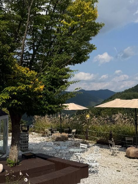넌 커피