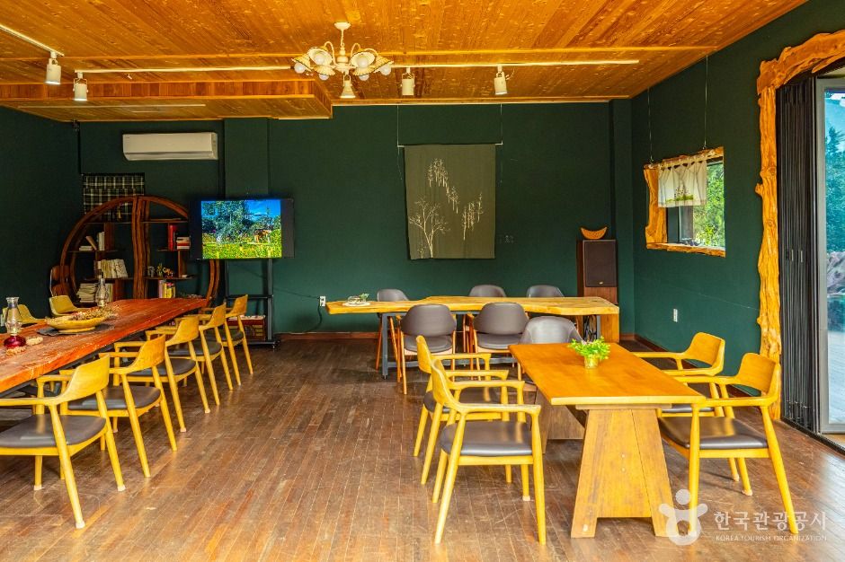 구례_천개의향나무숲 (4)