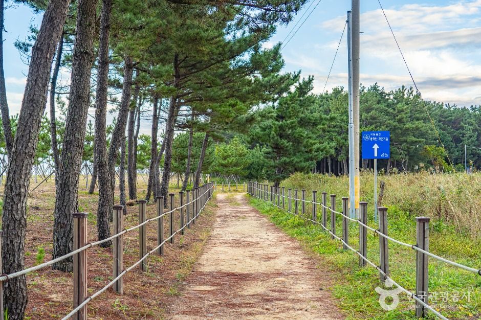 평해사구습지 생태공원