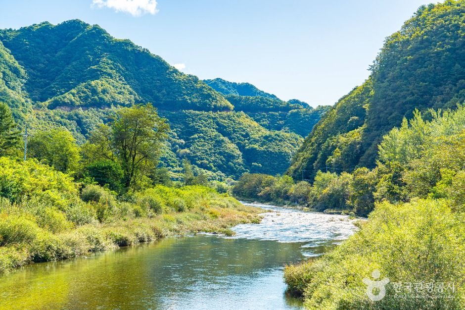 thumbnail-수입천-6