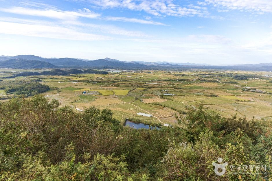 소이산 생태숲 녹색길