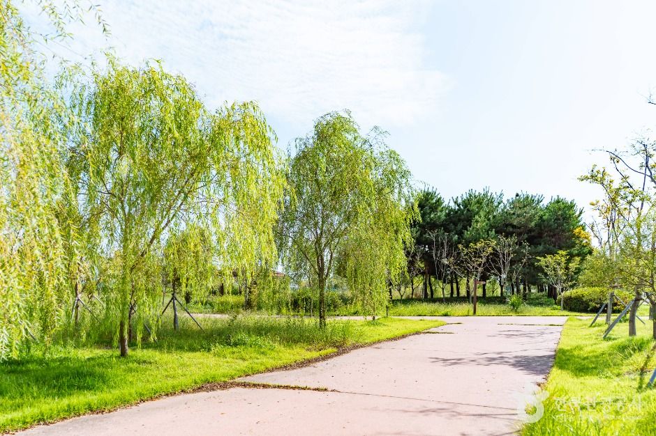 thumbnail-삽교호호수공원-3