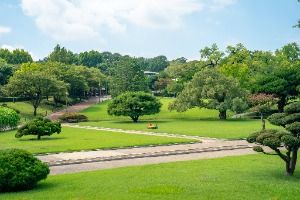 대구_대구 달성공원 (6)