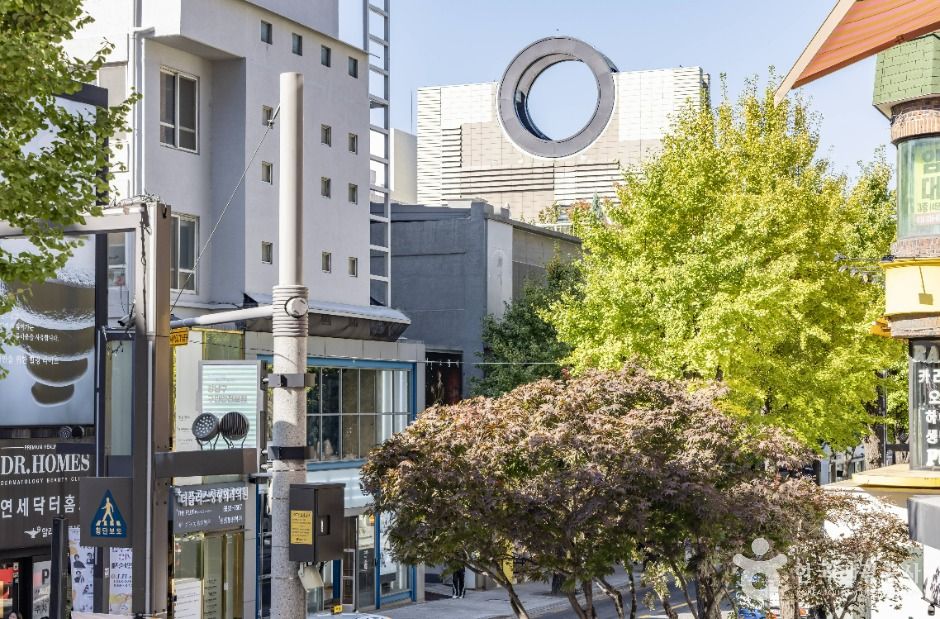 신사동 가로수길